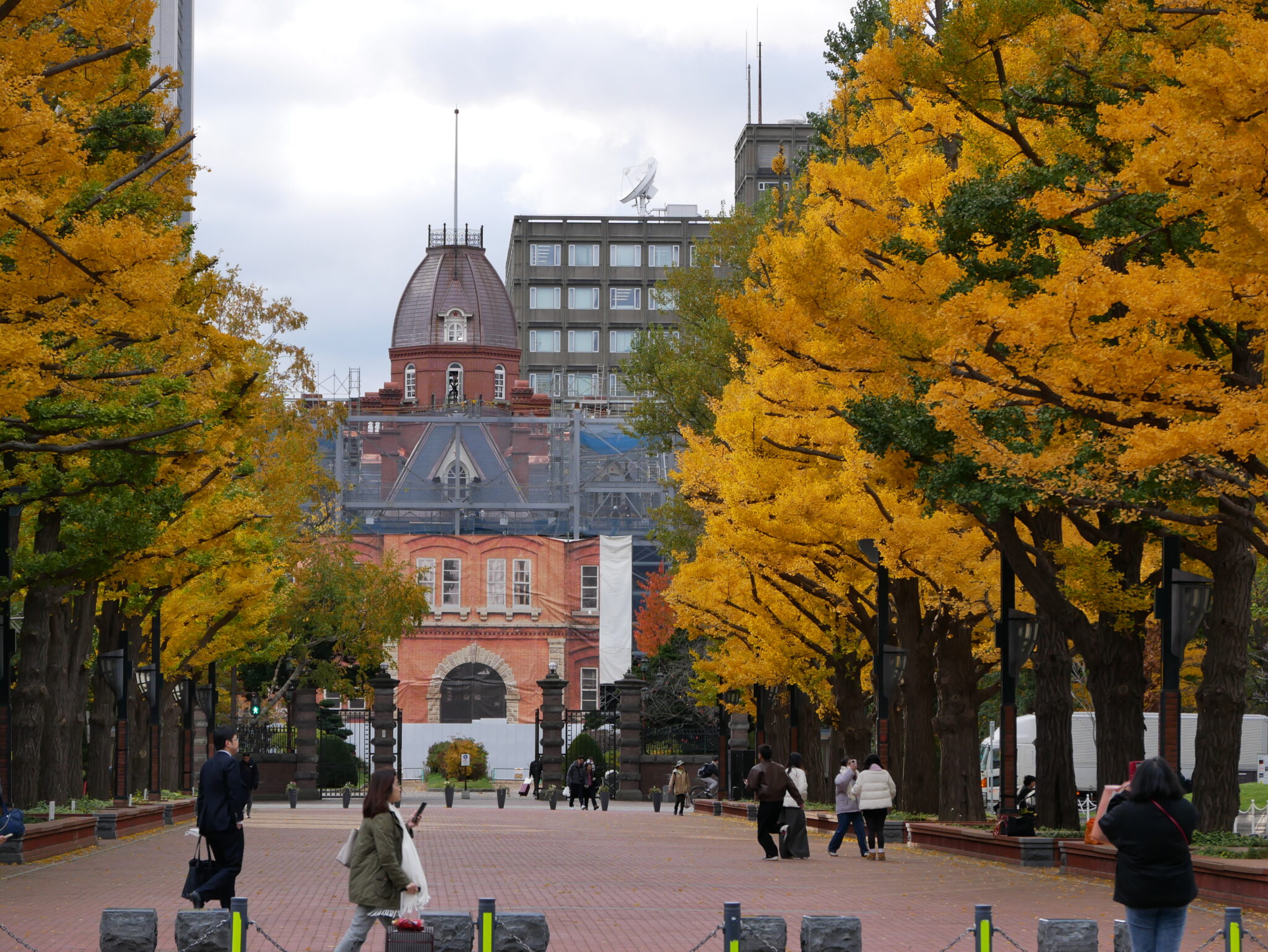 北海道支部