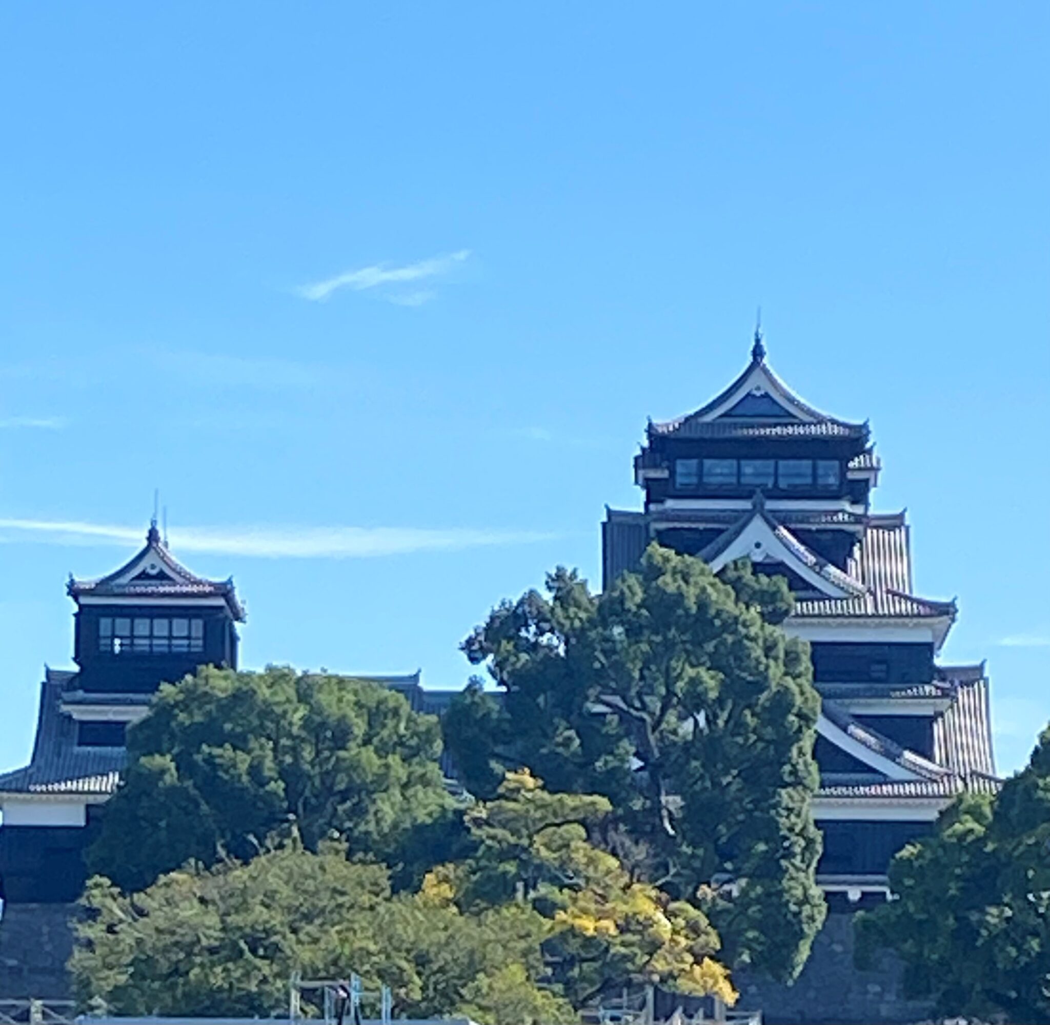 熊本支部