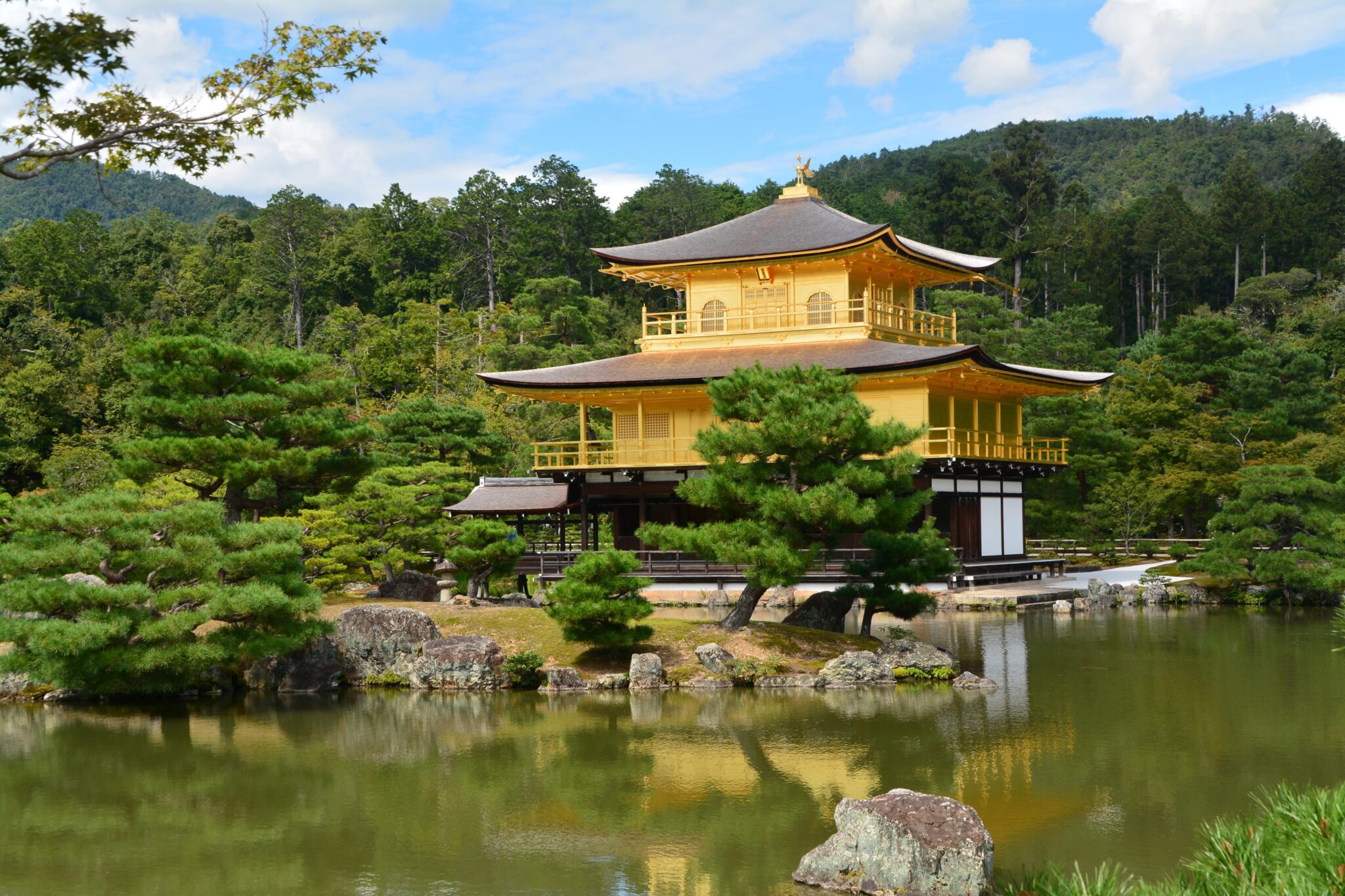 京都支部