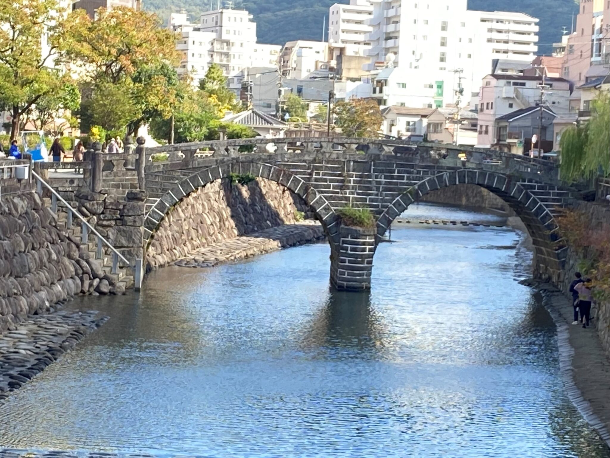 活動の様子