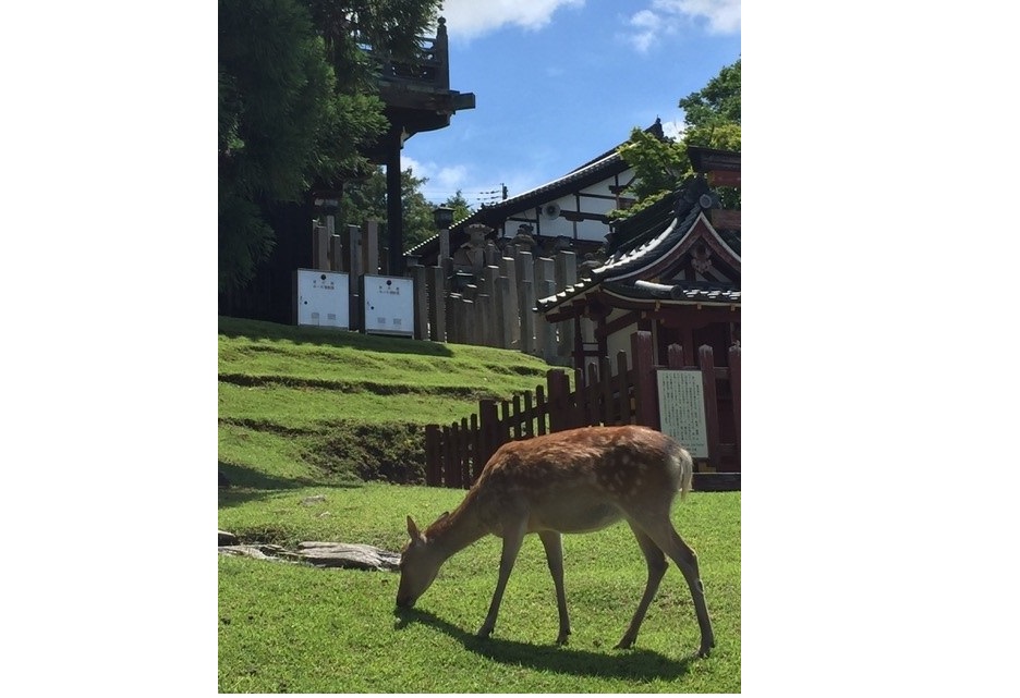 活動の様子